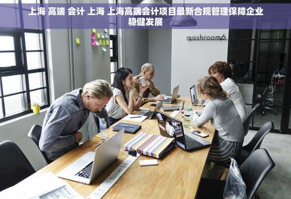 上海 高端 会计 上海 上海高端会计项目最新合规管理保障企业稳健发展