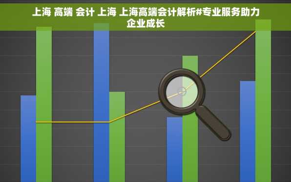 上海 高端 会计 上海 上海高端会计解析#专业服务助力企业成长