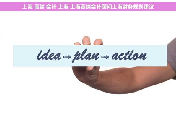 上海 高端 会计 上海 上海高端会计顾问上海财务规划建议