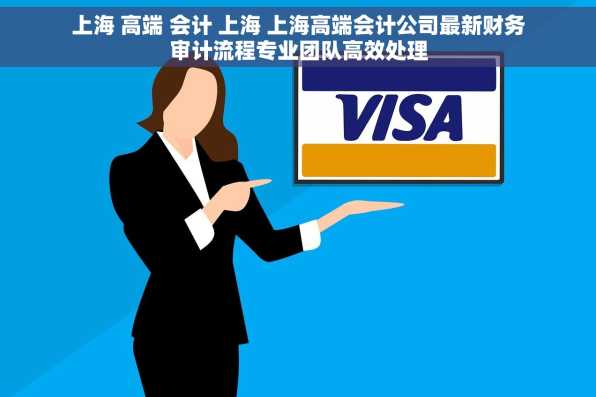上海 高端 会计 上海 上海高端会计公司最新财务审计流程专业团队高效处理