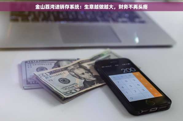 金山荔湾进销存系统：生意越做越大，财务不再头疼