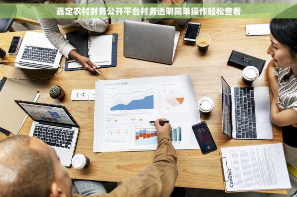 嘉定农村财务公开平台村务透明简单操作轻松查看