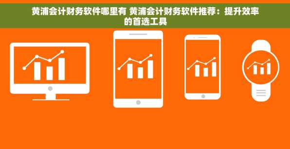 黄浦会计财务软件哪里有 黄浦会计财务软件推荐：提升效率的首选工具