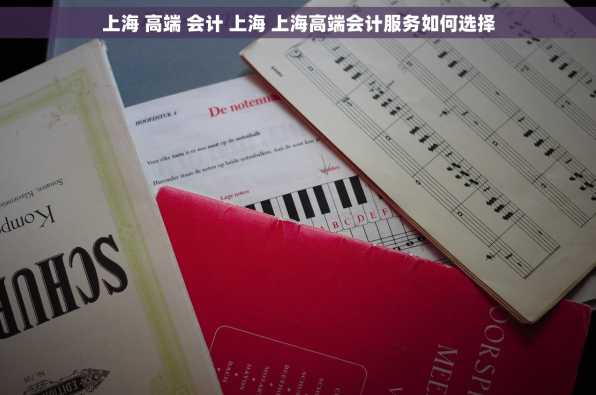上海 高端 会计 上海 上海高端会计服务如何选择