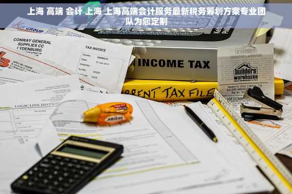 上海 高端 会计 上海 上海高端会计服务最新税务筹划方案专业团队为您定制
