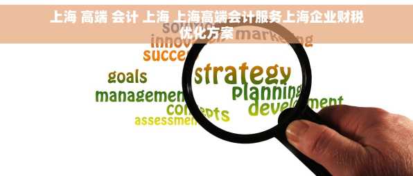 上海 高端 会计 上海 上海高端会计服务上海企业财税优化方案