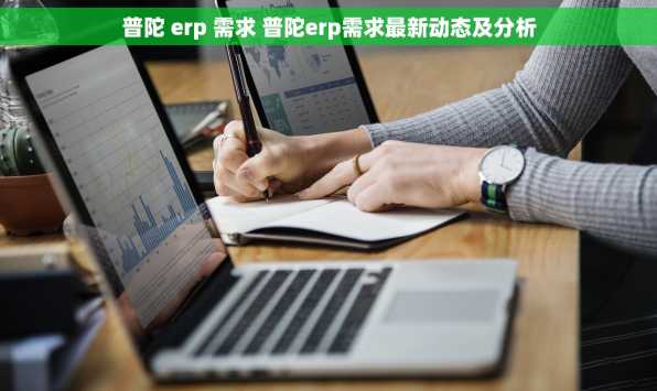 普陀 erp 需求 普陀erp需求最新动态及分析