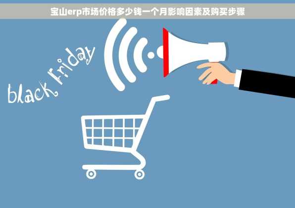 宝山erp市场价格多少钱一个月影响因素及购买步骤