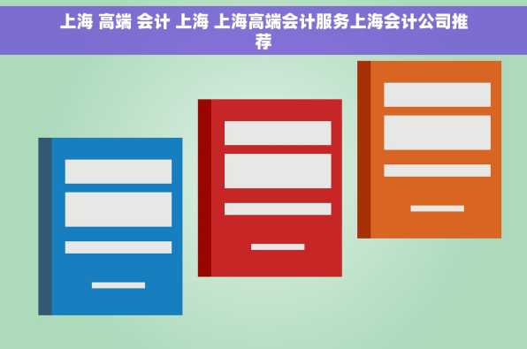 上海 高端 会计 上海 上海高端会计服务上海会计公司推荐