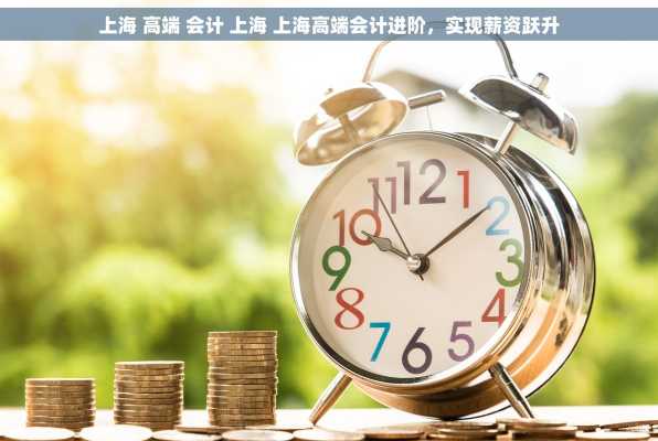 上海 高端 会计 上海 上海高端会计进阶，实现薪资跃升