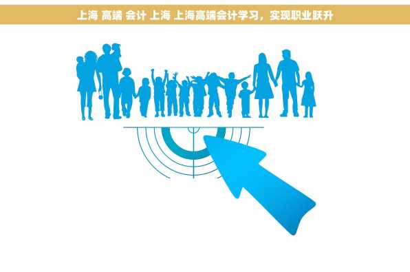 上海 高端 会计 上海 上海高端会计学习，实现职业跃升