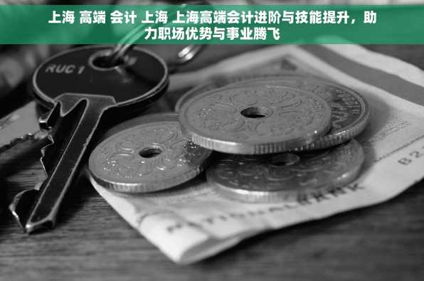 上海 高端 会计 上海 上海高端会计进阶与技能提升，助力职场优势与事业腾飞