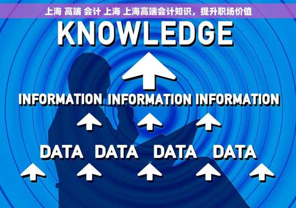 上海 高端 会计 上海 上海高端会计知识，提升职场价值