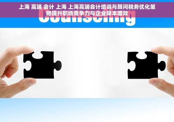上海 高端 会计 上海 上海高端会计培训与顾问税务优化策略提升职场竞争力与企业降本增效