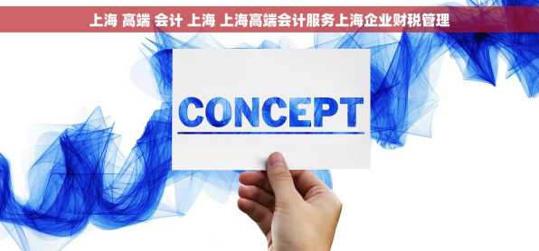 上海 高端 会计 上海 上海高端会计服务上海企业财税管理