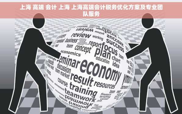 上海 高端 会计 上海 上海高端会计税务优化方案及专业团队服务
