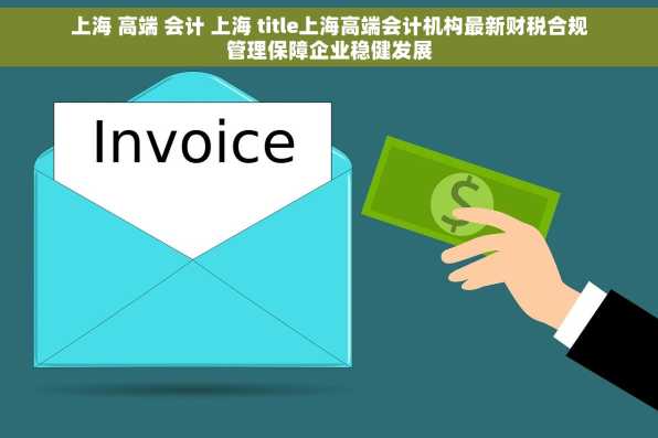 上海 高端 会计 上海 title上海高端会计机构最新财税合规管理保障企业稳健发展