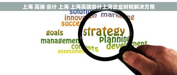 上海 高端 会计 上海 上海高端会计上海企业财税解决方案