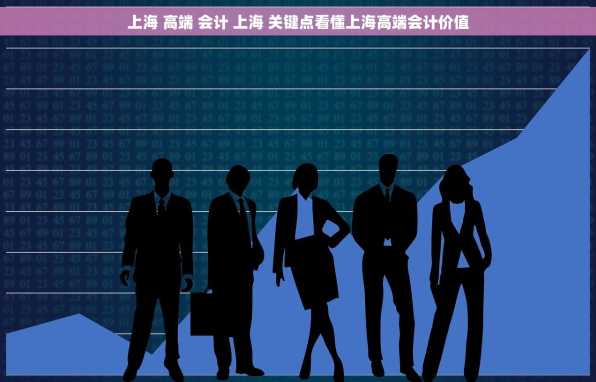 上海 高端 会计 上海 关键点看懂上海高端会计价值