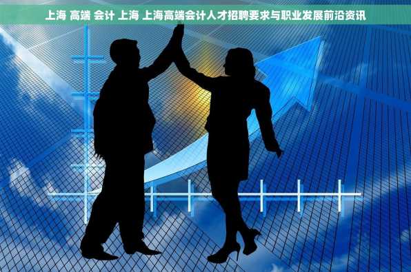 上海 高端 会计 上海 上海高端会计人才招聘要求与职业发展前沿资讯
