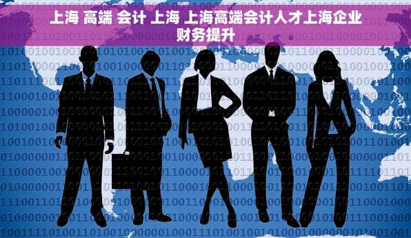 上海 高端 会计 上海 上海高端会计人才上海企业财务提升