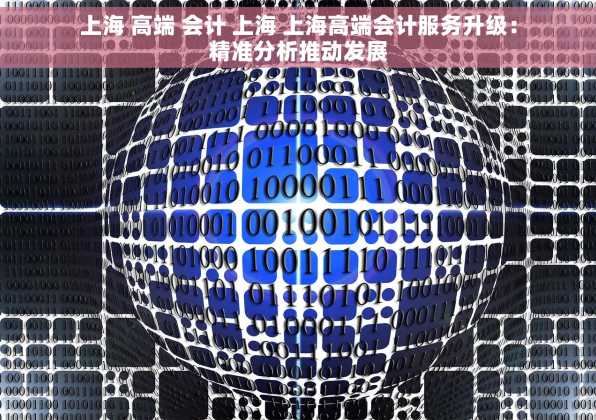 上海 高端 会计 上海 上海高端会计服务升级：精准分析推动发展