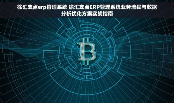 徐汇支点erp管理系统 徐汇支点ERP管理系统业务流程与数据分析优化方案实战指南