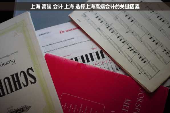 上海 高端 会计 上海 选择上海高端会计的关键因素