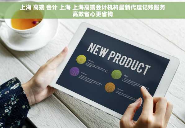 上海 高端 会计 上海 上海高端会计机构最新代理记账服务高效省心更省钱