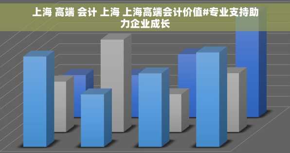 上海 高端 会计 上海 上海高端会计价值#专业支持助力企业成长