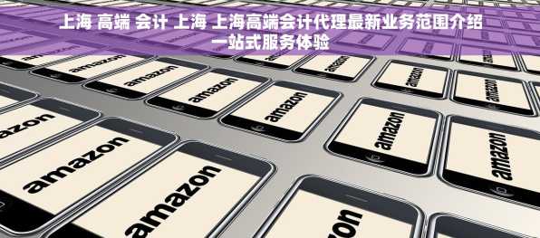 上海 高端 会计 上海 上海高端会计代理最新业务范围介绍一站式服务体验