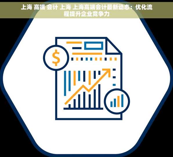 上海 高端 会计 上海 上海高端会计最新动态：优化流程提升企业竞争力