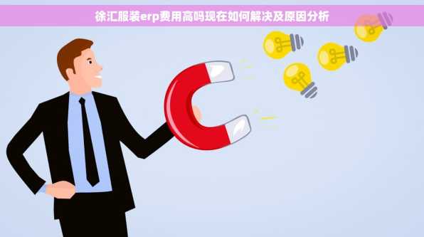 徐汇服装erp费用高吗现在如何解决及原因分析