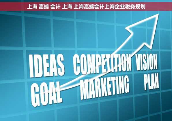 上海 高端 会计 上海 上海高端会计上海企业税务规划