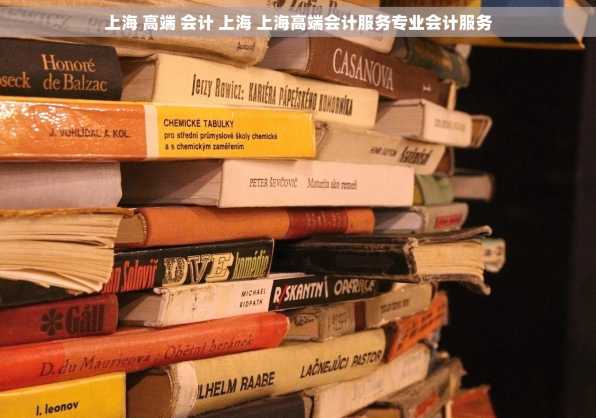 上海 高端 会计 上海 上海高端会计服务专业会计服务