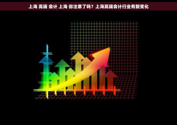 上海 高端 会计 上海 你注意了吗？上海高端会计行业有新变化