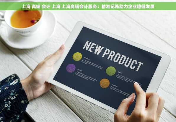 上海 高端 会计 上海 上海高端会计服务：精准记账助力企业稳健发展