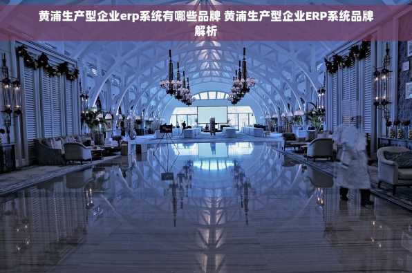 黄浦生产型企业erp系统有哪些品牌 黄浦生产型企业ERP系统品牌解析