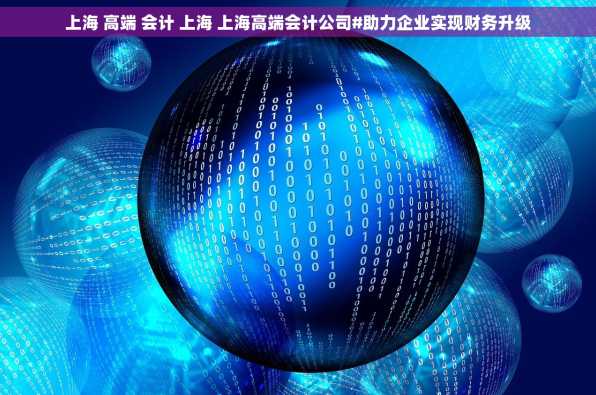上海 高端 会计 上海 上海高端会计公司#助力企业实现财务升级