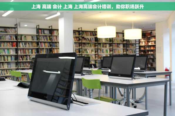 上海 高端 会计 上海 上海高端会计培训，助你职场跃升