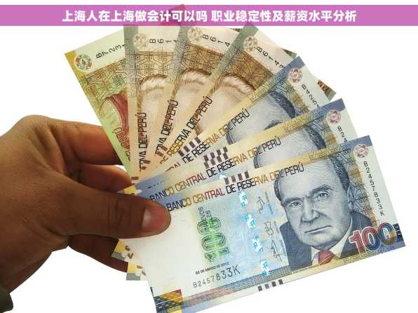 上海人在上海做会计可以吗 职业稳定性及薪资水平分析
