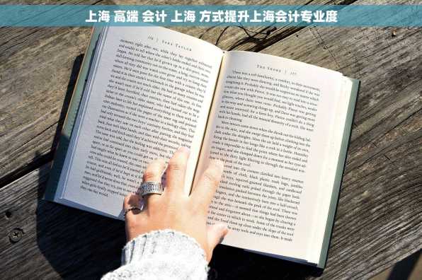 上海 高端 会计 上海 方式提升上海会计专业度