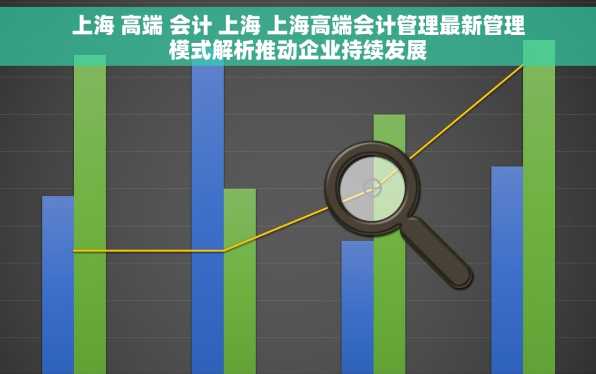 上海 高端 会计 上海 上海高端会计管理最新管理模式解析推动企业持续发展