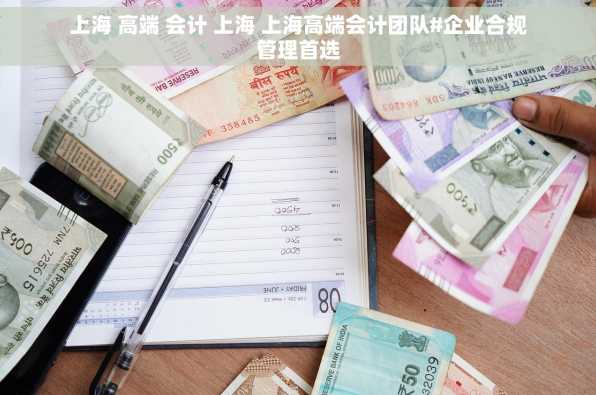 上海 高端 会计 上海 上海高端会计团队#企业合规管理首选