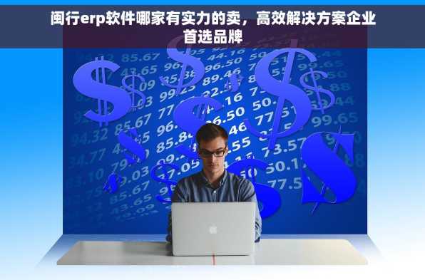 闽行erp软件哪家有实力的卖，高效解决方案企业首选品牌