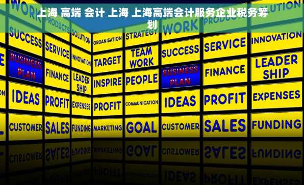 上海 高端 会计 上海 上海高端会计服务企业税务筹划