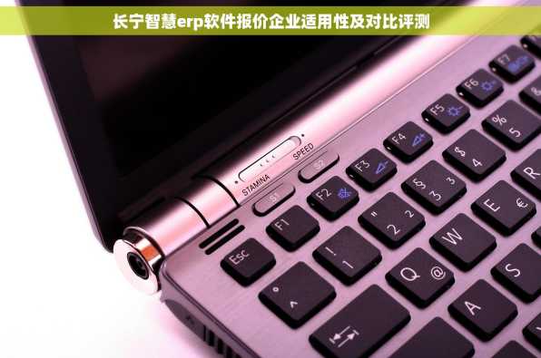 长宁智慧erp软件报价企业适用性及对比评测