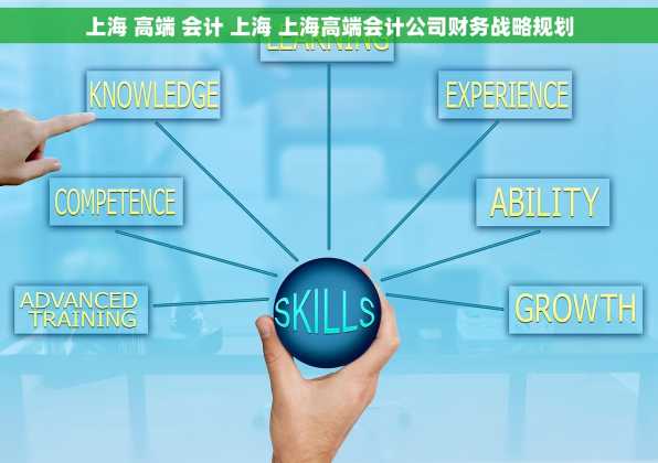 上海 高端 会计 上海 上海高端会计公司财务战略规划