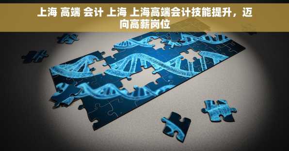 上海 高端 会计 上海 上海高端会计技能提升，迈向高薪岗位