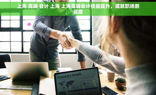 上海 高端 会计 上海 上海高端会计技能提升，成就职场新高度